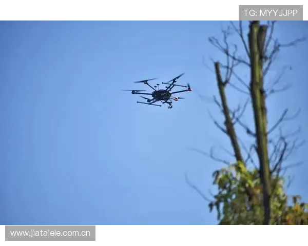 龙贾伊称目标清晰力争完美收官